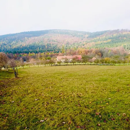 Holiday home Na Samote U Lesa Provodov (Zlin)